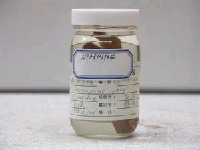 藏品(楊氏黏盲鰻)的圖片